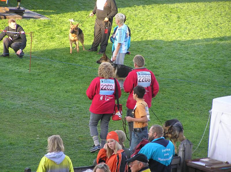 15-9-08 110.jpg